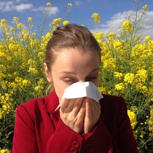 cenczi-allergy-1738191_640