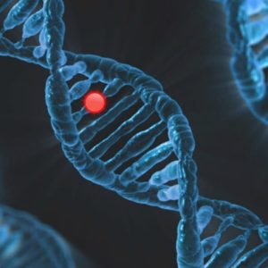 swiftsciencewriting-dna-6560897_640